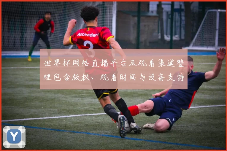 世界杯网络直播平台及观看渠道整理包含版权、观看时间与设备支持