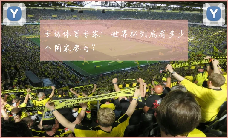 专访体育专家：世界杯到底有多少个国家参与？