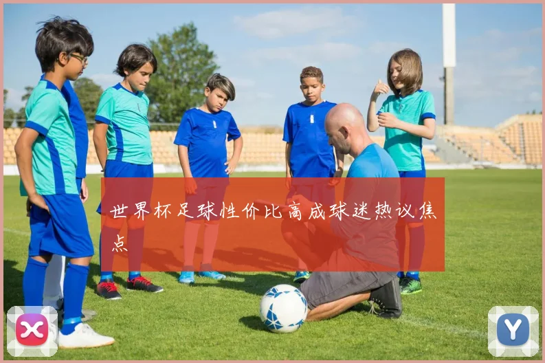 世界杯足球性价比高成球迷热议焦点